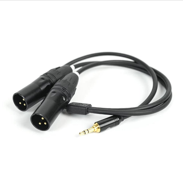 Cable de audio de 3,5 mm a dos XLR