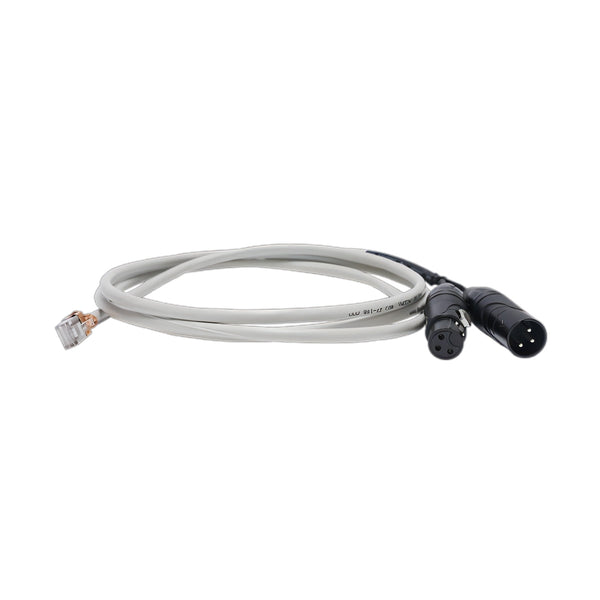 Ethernet to Dual XLR Cable